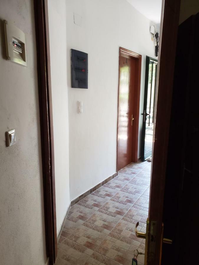 Icthyoessa Apartman Ágios Kírykos Kültér fotó